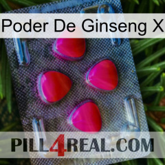 Ginseng Power X 13